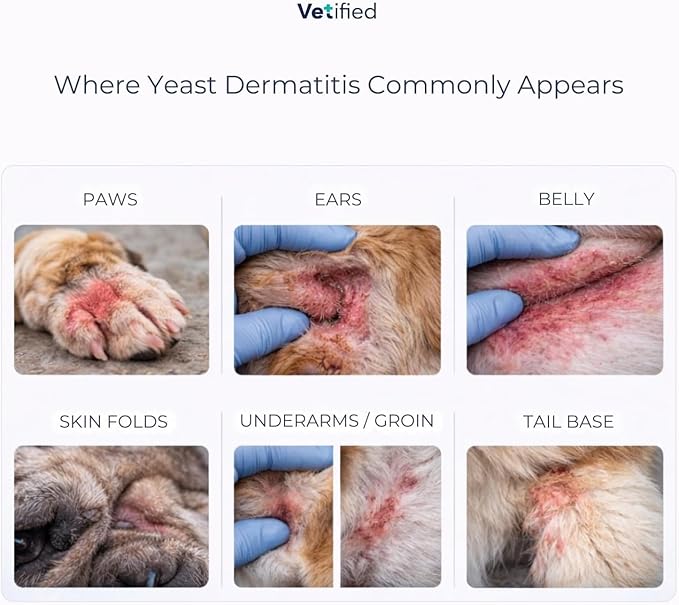 Yeast Dermatitis Spray for Dogs | Veterinary Strength Yeast Infection Treatment for Dogs, Paws and Ears | Topical Anti Yeast Care (+ 30 Day Vet Access) | 8 fl oz | NDC 86247-001-08
