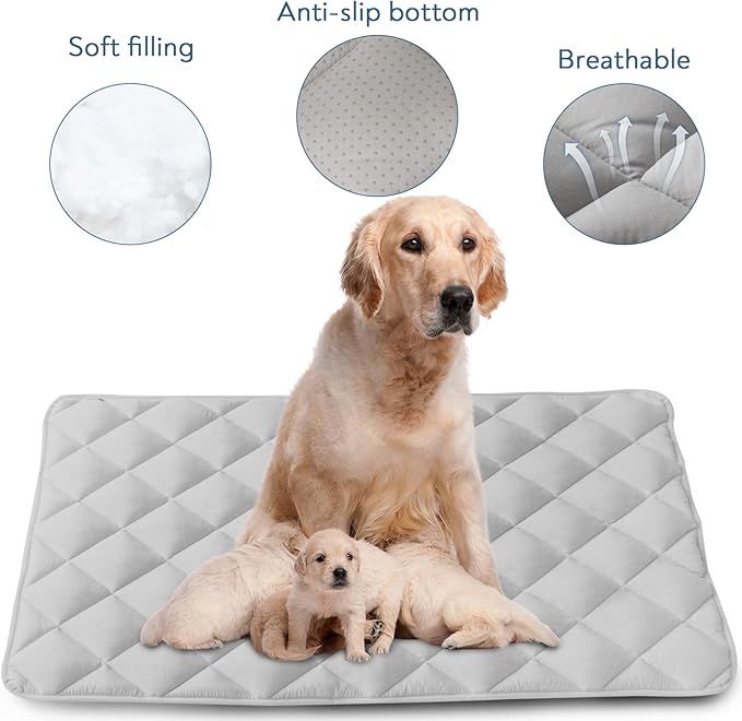 Magik & Kover Dog Crate Pad 2 Pack (48" x 30"), Soft Large Dog Crate Mat with Anti-Slip Bottom, Machine Washable Kennel Pad, Fits 48 Inch Crate, Grey