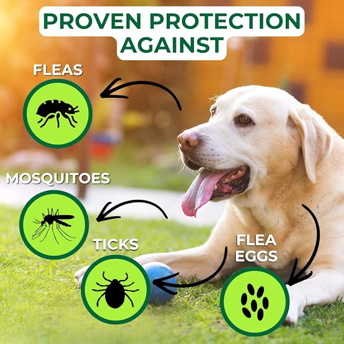 Nature’s Dome Cedarwood Flea & Tick Spray – 16 oz – Kills & Repels Fleas, Ticks, Larvae & Eggs – Plant-Based Pest Control – Safe for Pets, Kids & Plants – Ready-to-Use (16 Oz, Cedarwood)