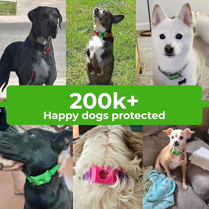 FurLife Green Dog Tag, Flea and Tick Prevention for Dogs - Waterproof Pendant for Collar, Safe for All Breeds