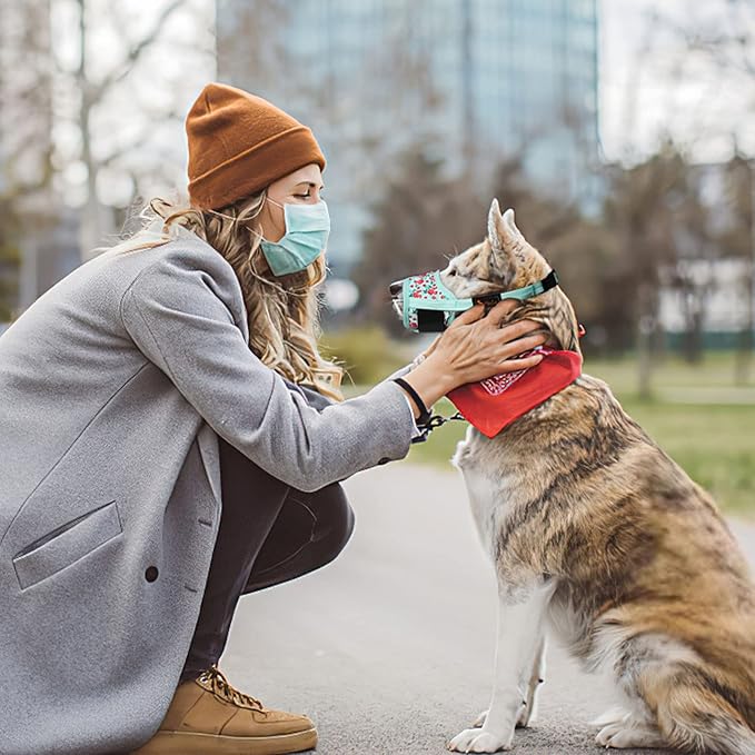 HEELE Dog Muzzle,Soft Nylon Muzzle Anti Biting Barking Chewing,Air Mesh Breathable Drinkable Adjustable Loop Pets Muzzle for Small Medium Large Dogs 4 Colors 4 Sizes (P-Cyan Flower, L)