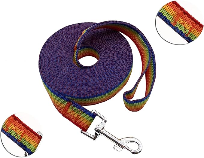 Nylon Training Dog Leash for Small Medium Large Dogs, 15ft 20ft 30ft 50ft Long Leash Dog/Puppy Lead for Obedience Recall Training, Camping (30ft, Rainbow)