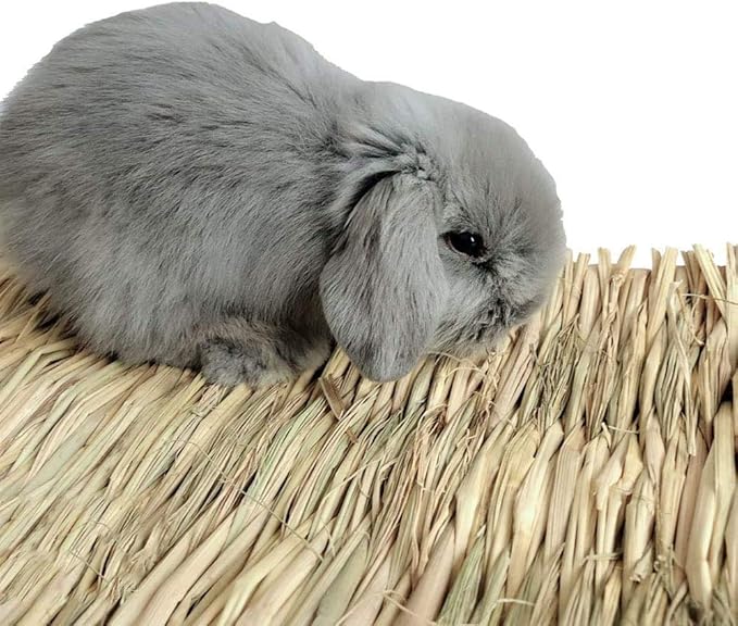 Hamiledyi Grass Mat Woven Bed Mat for Small Animal 3PCS Large Bunny Bedding Nest Chew Toy Bed Play Toy for Guinea Pig Parrot Rabbit Bunny Hamster Rat