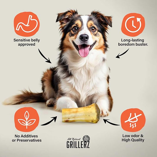 Grillerz 7 inch Small Shank Bone, Rawhide Free, All Natural Dog Treat for All Breeds, High Protein, Long Lasting, Easy to Digest, Dog Chew for Healthy Teeth (Pack of 2)