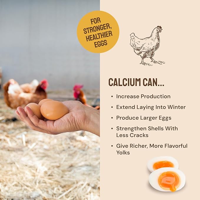 Hatortempt Grubs & Grits Chicken Feed Supplement - 5lb - with Chicken Grit, Mealworms, Black Fly Larvae and Oyster Shells - 21% Protein and 15% Calcium