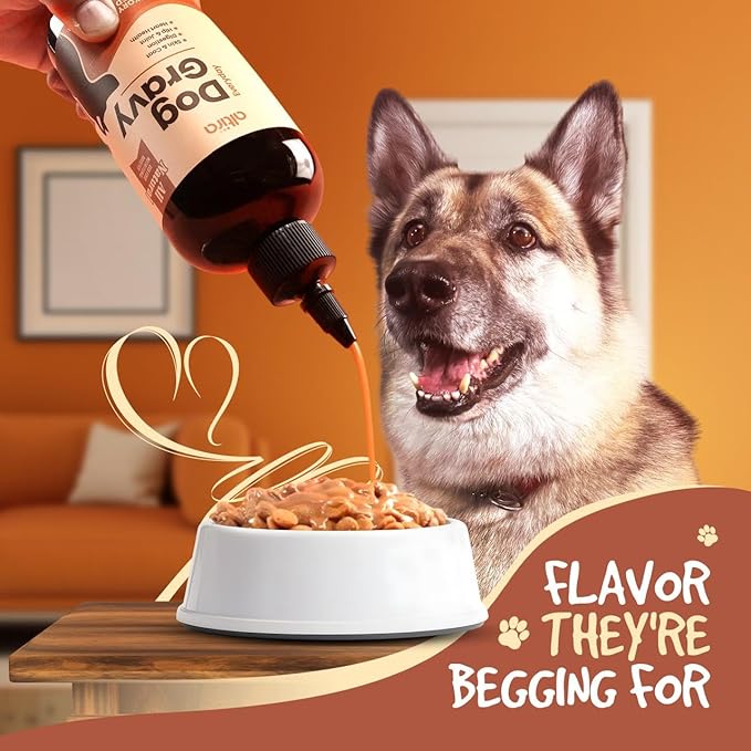 Everyday Dog Gravy - Wet Dog Food Topper for Dry Food with Glucosamine, MSM, Chicken Bone Broth, Omega 3, Probiotics and Taurine - Skin, Coat, Heart, Hip and Joint Support, 16 oz (Bacon