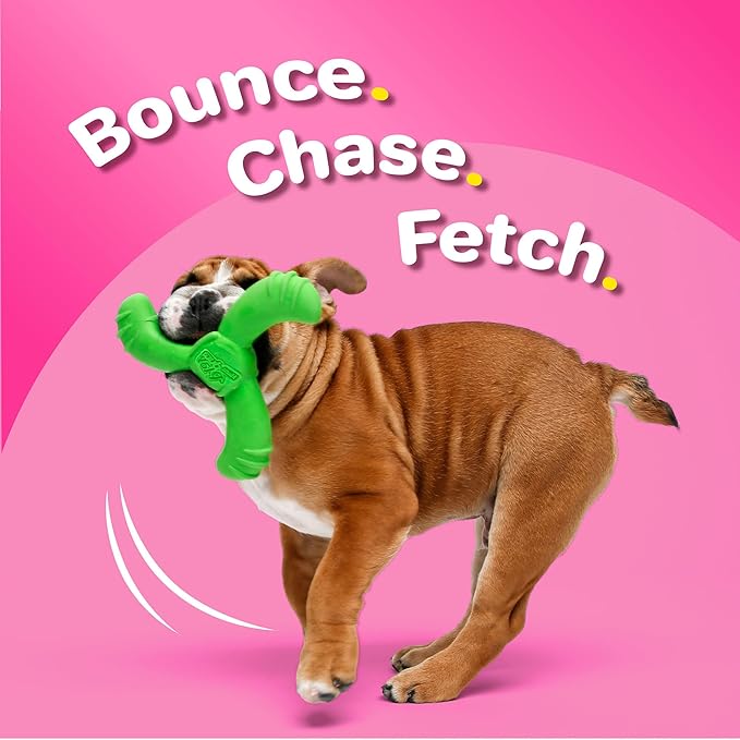 Hartz DuraPlay Bacon Scented Dog Toys, Medium/Large (Colors May Vary) All Breed Sizes (Pack of 3)