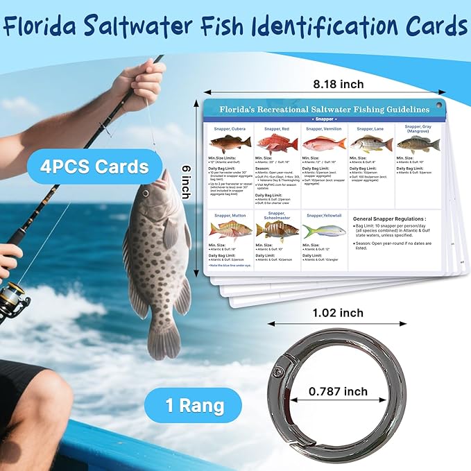 OCQOTAT Florida Saltwater Fish& Shark Identification Set–4 Double-Sided Waterproof Quick-Reference Fishing Guide Cards with FWC Rules,Size Limits&80+ Fish&Sharks in Real Photos| Ring Binding,8.2x6inch