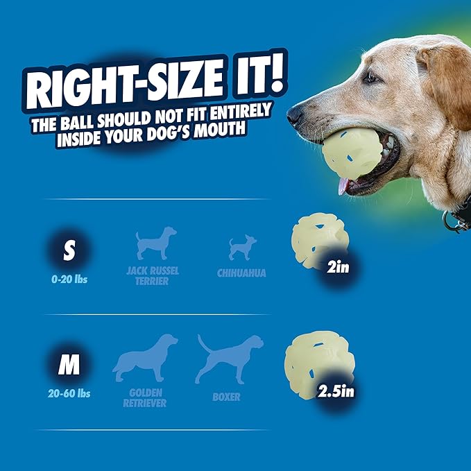 Chuckit! Air Glow Fetch Ball Dog Toy, Medium (2.5 Inch) Pack of 1, for Breeds 20-60 lbs