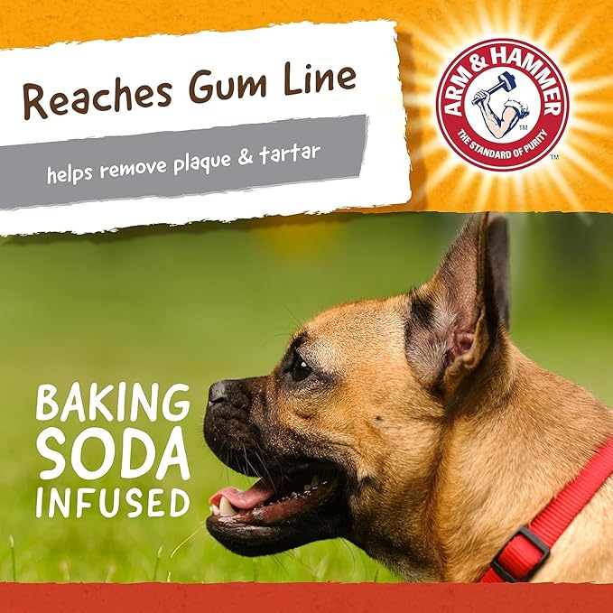 Arm and Hammer for Pets Super Treadz Mini Gorilla Dental Chew Toy for Dogs - Reduces Plaque and Tartar Without Brushing, Baking Soda Infused, Dishwasher Safe, Dogs Up to 25 Lbs, 3.5 Inch - 3 Pack