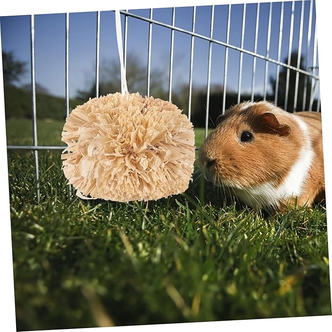SUPVOX Bunny Chewing Balls 2.75 Inch Small Pet Molar Toys for Rabbits Guinea Pigs Hamsters Chinchillas Dental Care Chew Treats Set of 2