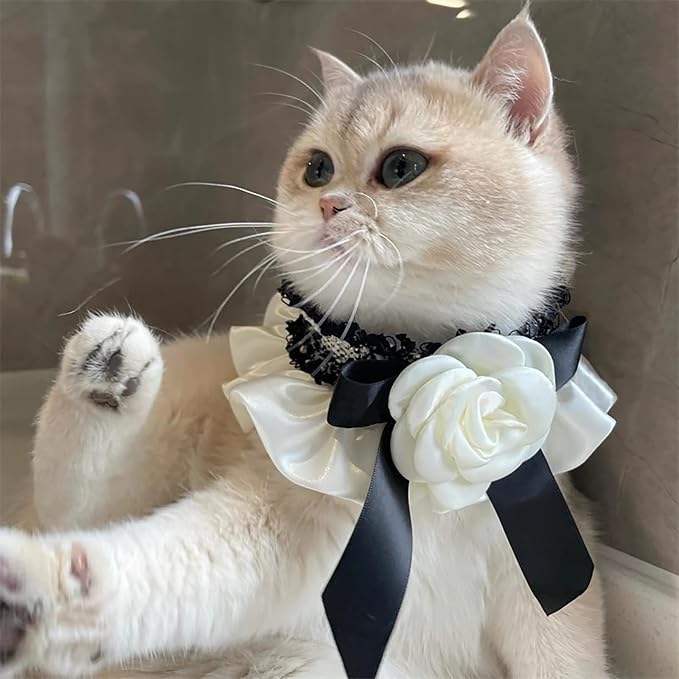 Elegant Lace Cat Collar with Cute Bow,Kitty Necklace with Bow Tie and Flower,Pet Lace Bib Collar with Cute Bow,Cat Princess Costumes,Black,1 Piece