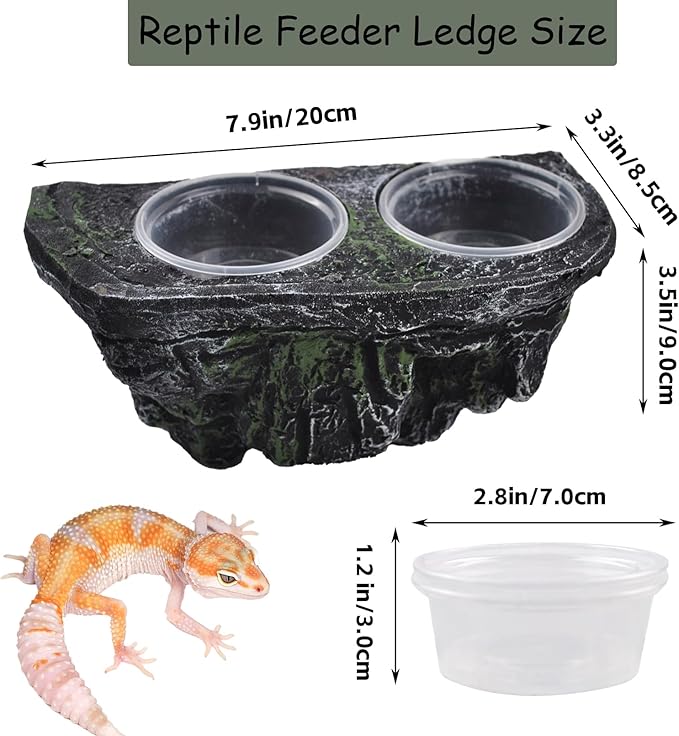 PINVNBY Reptile Feeding Ledge with Suction Cups,Crested Gecko Feeder Ledges with 2 Pcs Water & Food Bowls Double Lizard Dish Bearded Dragon Tank Accessories for Geckos Chameleon Spider Snake
