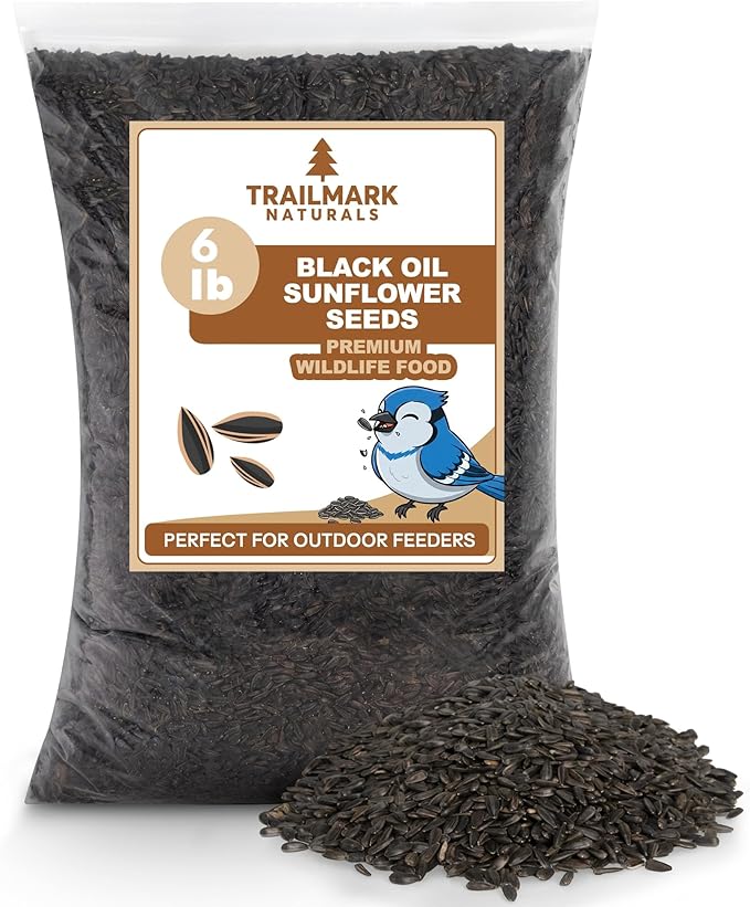 6 Pound Black Oil Sunflower Seeds for Birds – Premium Wildlife Food – Non - GMO -Grown in the USA - Black Oil Sunflower Seeds for Wild Animals and Backyard Feeders
