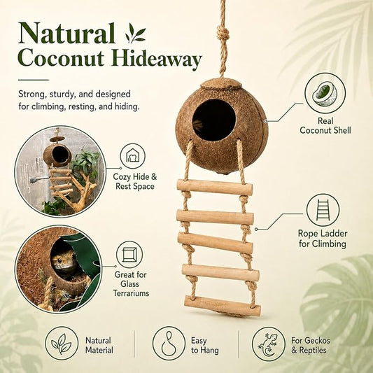 RUNANIA Crested Gecko Tank Accessories，Reptile Vines Plants with Coconut Shell Ladder Hideout Hermit Crab Decor for Leopard Gecko Lizard Chameleon Tortoise Snake Terrarium Decor
