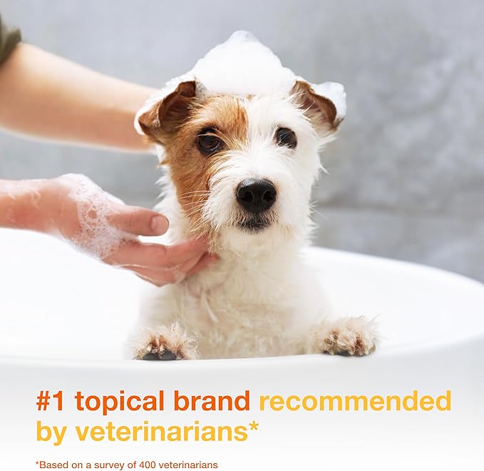 Douxo S3 Pyo Shampoo, Contains 3% Chlorhexidine & 0.5% Ophytrium, Antiseptic & Hydrating, For Bacterial or Yeast Skin Infections, For Dogs and Cats, 6.7 fl. oz. (200mL)