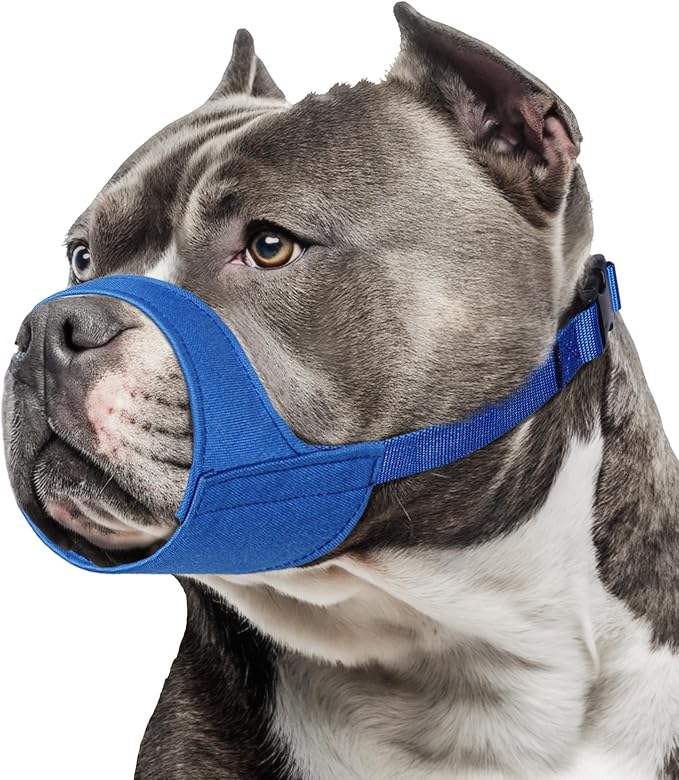 Mayerzon Short Snout Dog Muzzle for Small Medium Dogs, Soft & Sturdy Fabric, Anti Excessive Biting Chewing, Suits Schnauzer Bully Boxer Puppy for Grooming Vet Visits Walk, Allows Drinking(Blue, M)