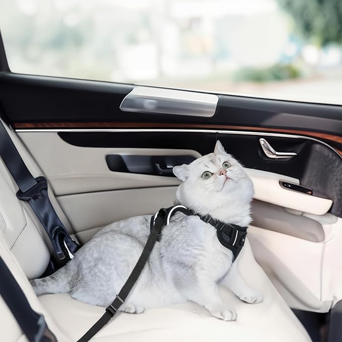Cat Harness and Leash for Walking, Cat Car Harness, Soft Adjustable Vest Harnesses for Cats, Easy Control Breathable Reflective Strips Harness, Kitten Harness and Leash Set, Black, S(7-12lbs)