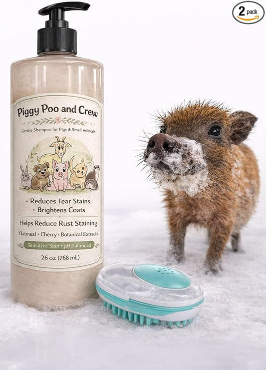 Piggy Poo and Crew Brightening Pet Shampoo Oatmeal Cherry Scented No Bleach Peroxide or Alcohol Gentle pH-Balanced Formula for Pigs and Small Animals and Shampoo Scrub Brush