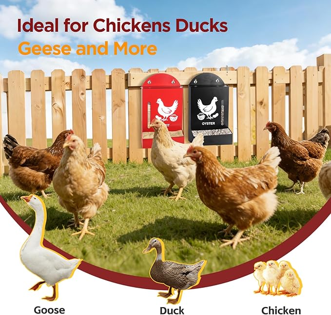 2 Pack Chicken Grit and Oyster Shell Feeder, Metal Oyster Shell Feeder with Visual Window and Lid, Hanging Gravity Chicken Grit Feeder, Chicken Coop Accessories for Healthier Hens and Eggs