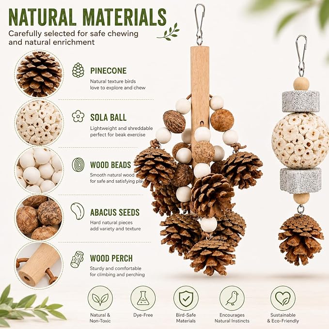 2 Pack Natural Bird Toys for Parakeets & Cockatiels, Pinecone Chew Swing and Sola Ball Hanging Toy, Shredding & Foraging Cage Accessories for Budgies, Conures, Lovebirds