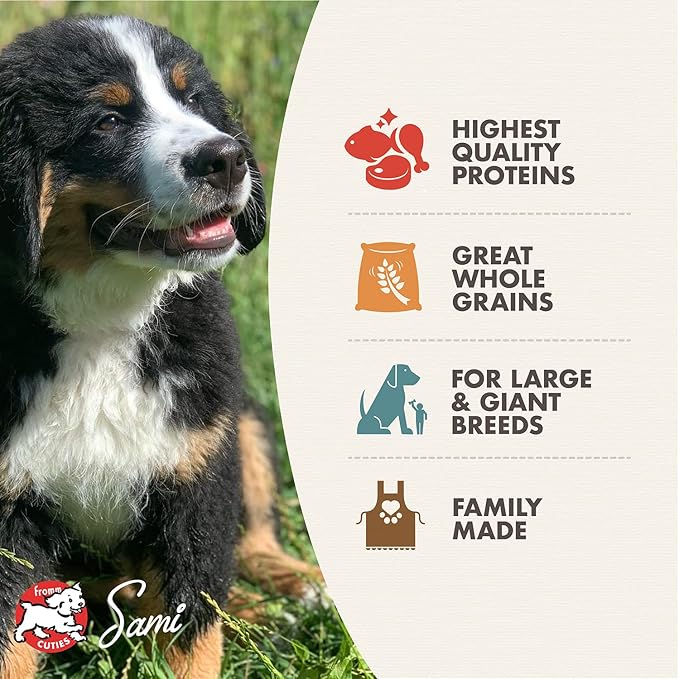 Fromm Large Breed Puppy Gold Premium Dry Dog Food - Dry Puppy Food for Large Breeds - Chicken Recipe - 5 lb