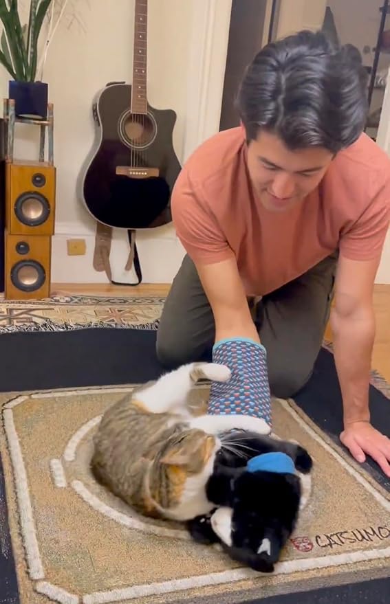 Cat Wrestling Glove Puppet – Interactive Hand Mitt with Durable Protective Sleeve and Catnip - Play & Enrichment