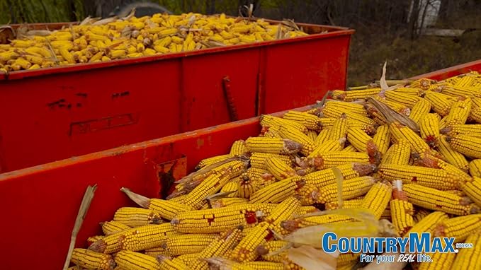 CountryMax Backyard Seeds Corn Cob 25 lbs - High-Energy Animal Feed for Chickens, Squirrels, Deer & Wild Birds, Ground Feeding, High Protein