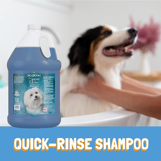 Bio-Groom Super Whitening Dog Shampoo - Whitening Pet Shampoo, Dog Bathing Supplies, Puppy Wash, Grooming Supplies, Cruelty-Free - 12 fl oz 1-Pack