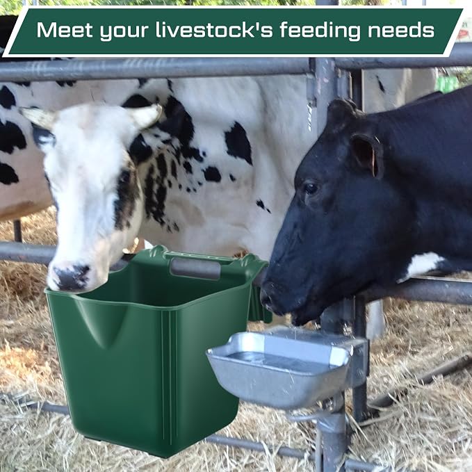 Marsui 6 Pcs 15 Quart Horse Feeders for Stall Hook Over Hanging Fence Hay Feeder Mountable Livestock Plastic Feed Bucket for Farm Stalls Pasture, Stable to Feed Horses Sheep Cattle Cows Etc (Green)