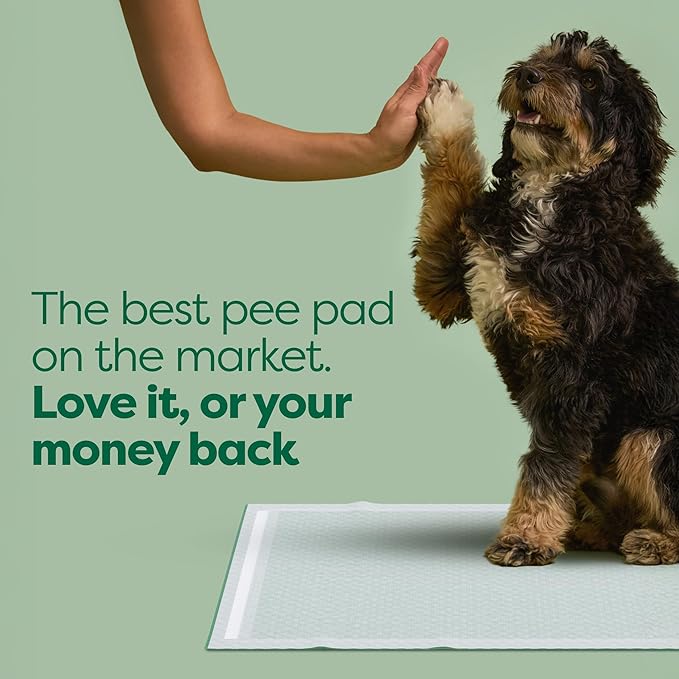 Earth Rated 3-in-1 Max Absorbency Puppy Pee Pads for Dogs, Odor Blocking, Leak Prevention Potty Training Pad, 3XL, 36 x 36 Inches, 7 Count