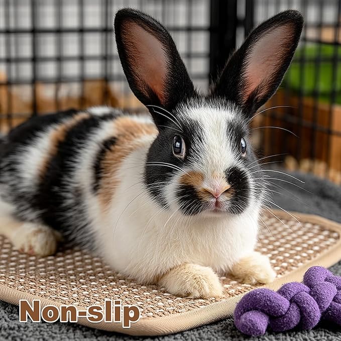 3PCS Rabbit Scratch Mat, Natural Bunny Scratching Pad Claws and Teeth Care Rabbit Mats for Cages Chew Toys for Bunny Pet Cage Bedding for Biting Sleeping Nesting (11x14 inch)