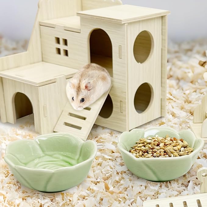 BNOSDM 2 Pcs Hamster Ceramic Food Bowl Flower Series Gerbil Drinking Bowls Anti-Turning Food & Water Dish for Dwarf Syrian Hamsters Gerbil Chinchilla（Green, Rose Pattern）
