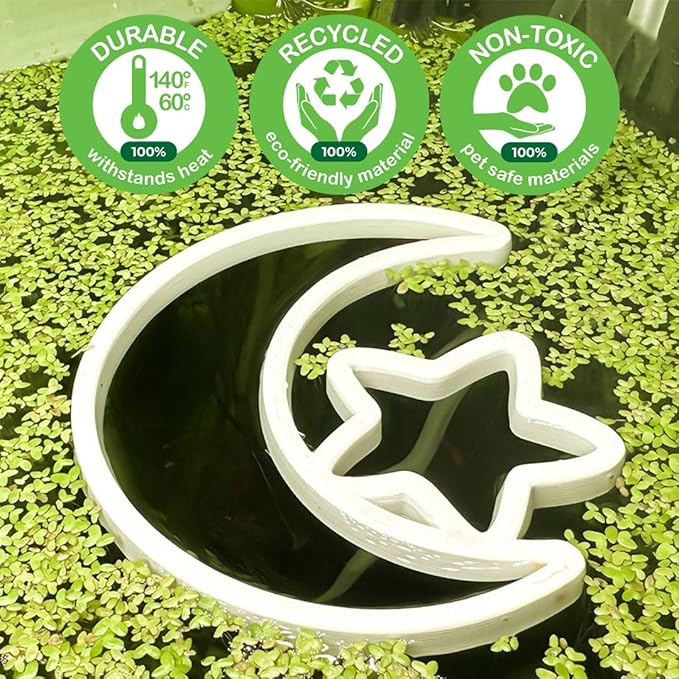 Fish Feeding Portal for Betta & Aquariums | Floating Food Ring & Breathing Window (Moon) (Clear)