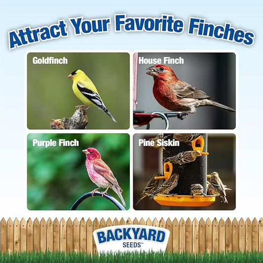 Backyard Seeds Finch & Small Songbird Frenzy 40lbs - Premium Nyjer Thistle Seed Blend for Finch Feeders, Small Bag of Wild Bird Food