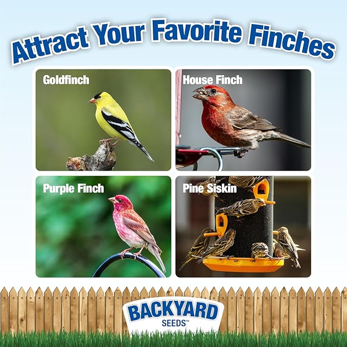 Backyard Seeds Finch & Small Songbird Frenzy 5lbs - Premium Nyjer Thistle Seed Blend for Finch Feeders, Small Bag of Wild Bird Food