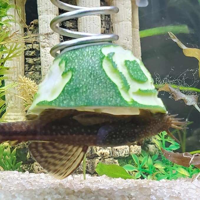 Fish Tank Aquarium Vegetarian Feeder, Aquarium Stainless Steel Sinking/Hanging/Benthic Fish/Loach/Malawi Cichlid/Snail Feeder with Suction Cup and Recycling Line