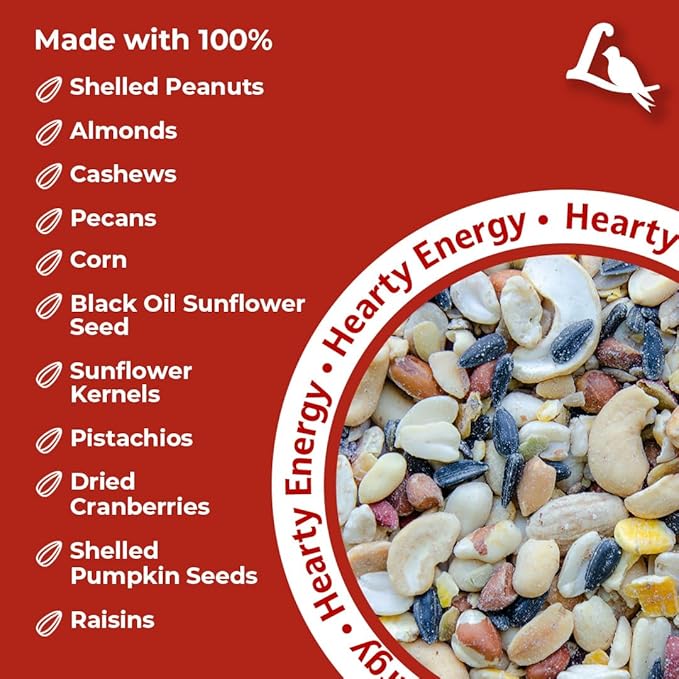 Lyric Fruit and Nut Wild Bird Seed - High Energy Wild Bird Food Mix - Attracts Woodpeckers, Chickadees & Other Songbirds - 10 lb. (pack of 2 - 5 lb bags)