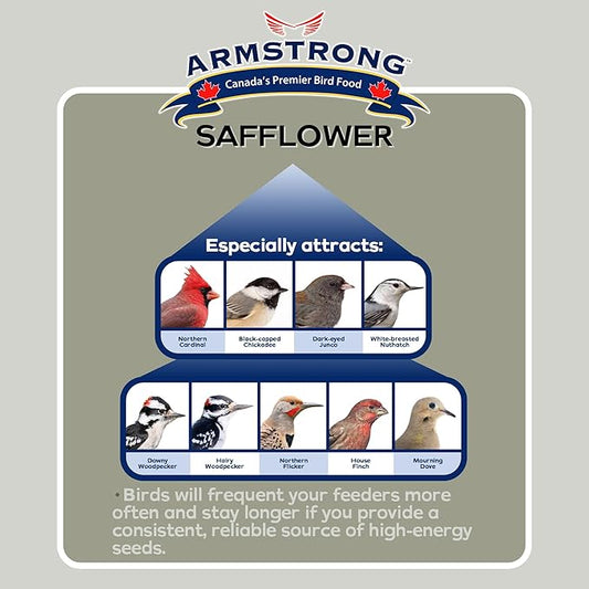 Armstrong Wild Bird Food Safflower Bird Seed, 20 Pounds (Pack of 2) - for Northern Cardinals, Rose-Breasted Grosbeaks and Black-Capped Chickadees - Ideal for Outside Feeders
