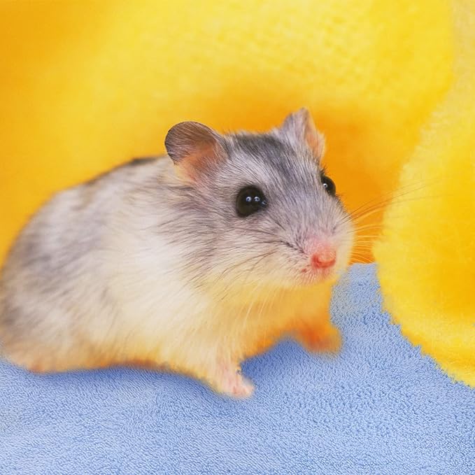 6pcs Guinea Pig Bedding Pet Fleece Blankets Hamster Bed Liners Small Towel Bath Towels