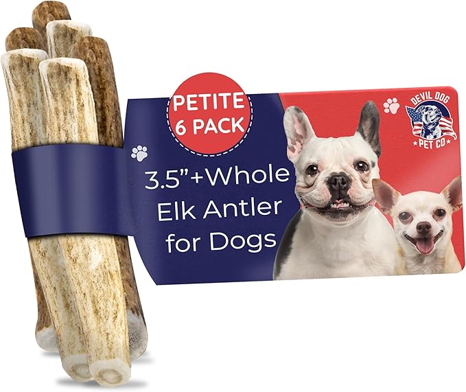 Devil Dog Pet Co. Elk Antlers for Dogs, Natural Dog Chew for Aggressive Chewers - Long Lasting and Odor Free - USA Sourced - Cleaner Teeth, Anxiety & Boredom Relief - Whole Petite 3.5"+ 6 Pack