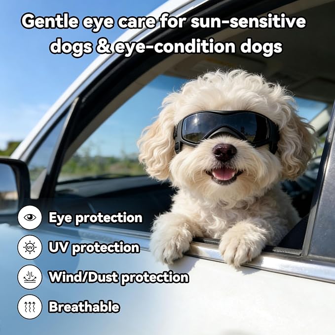Dog Goggles Dog Sunglasses for Small Breed UV Protection Windproof with Adjustable Head Straps Chin Straps for Ride Car/Hiking Travel/On Beach-Black