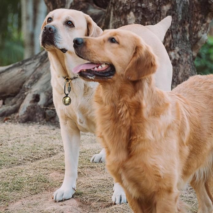 2 Extra Loud Dog and Cat Bells, Heavy Duty Copper Collar Bell with Quick Link for Pet Tracking