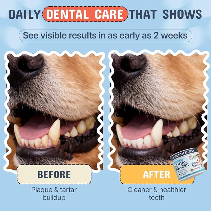 Pets Are Kids Dog Dental Powder | Premium Breath Freshener with OraCMU™ Probiotic for Gut Support | Easy-to-Mix Dog Teeth Cleaning Powder | Fights Bad Breath, Tartar & Plaque | Bacon Flavor, 60 Scoops