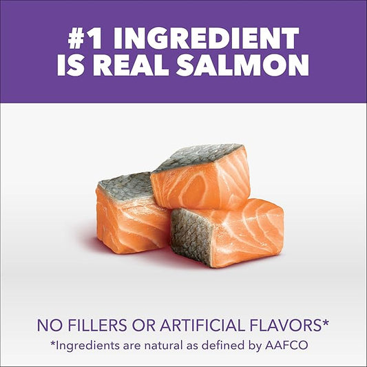 IAMS Proactive Health Healthy Kitten Dry Cat Food Salmon Recipe, 7 lb. Bag