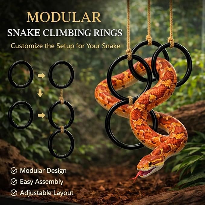 2PCS Snake Climbing Rings for Ball Python - Enrichment Toys for Corn Snake - Reptiletank Cage Decor Habitat Accessories | Terrarium, Bearded Dragon, Chameleon, Iguana, Gecko, Lizard, Parrot