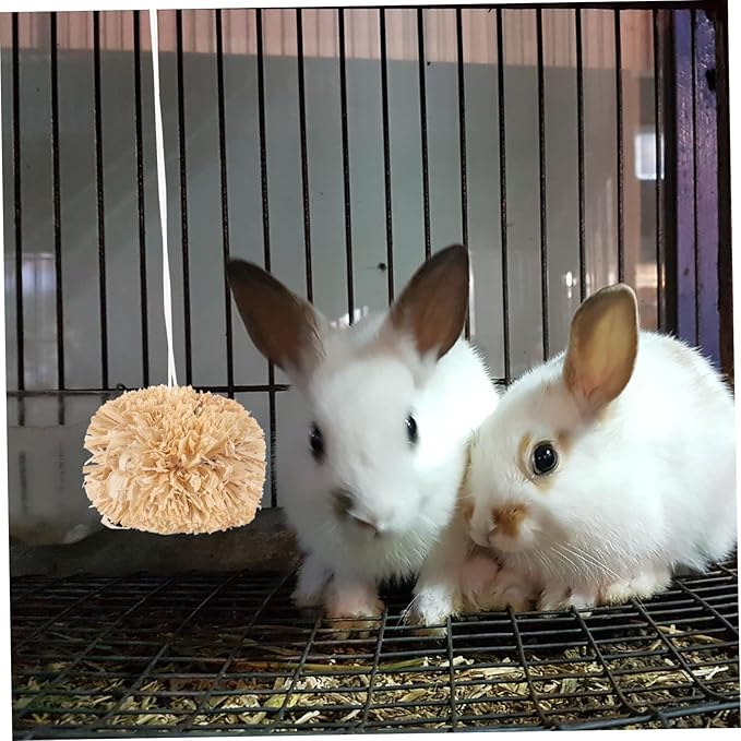 Totority 2Pcs Natural Material Bunny Molar Balls Small Animal Chew for Teeth Grinding and Mouth Cleaning Safe Rabbit and Hamster Playthings for Guinea Pigs Squirrels and Gerbils Teeth Care