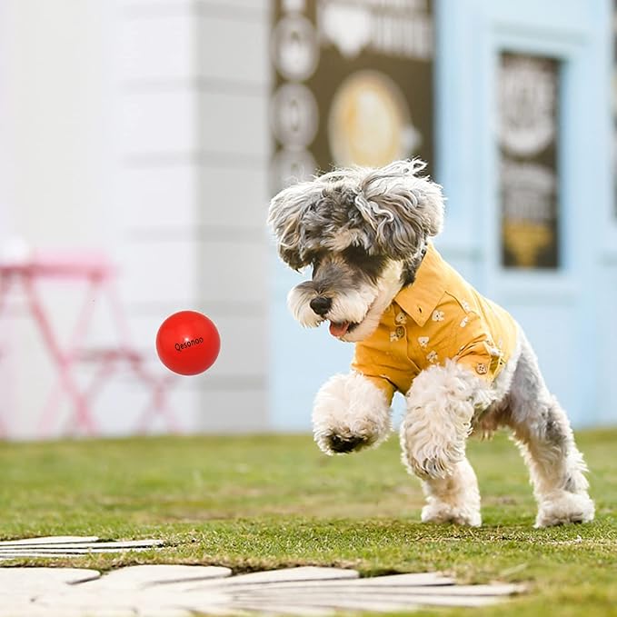 Dog Balls Indestructible,Solid Rubber Bouncy for Dogs Aggressive Chewers Small Breed,Non-Toxic&Floating&High Elasticity,Durable Fetch Ball Small to Chew,Play and Training