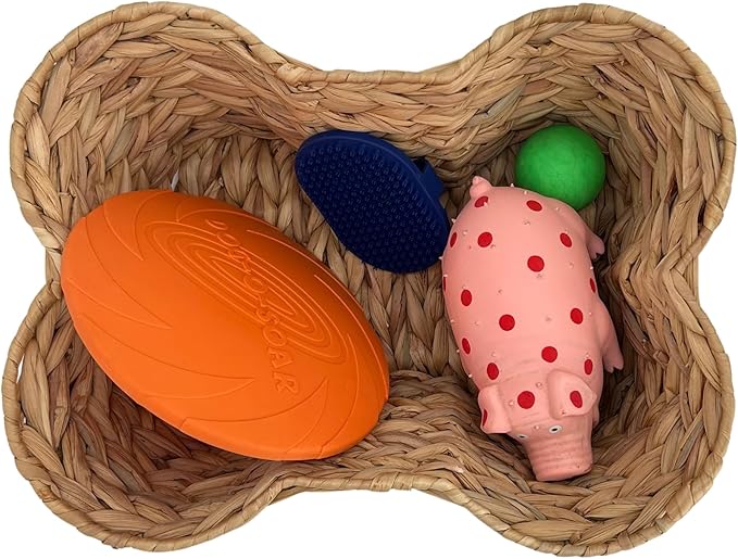 OtterPets Dog Toy Basket, Hyacinth Cat & Dog Bone Shaped Basket, Wicker Pet Toy Bin Organizer, Dog Toy Storage (17x13 Hyacinth)