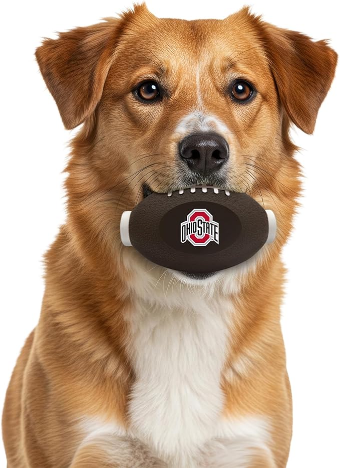 NCAA Ohio State Buckeyes Football Treat Dispensing Toy for Dogs and Cats, Rubber Ball Pet Toy, Interactive Fun Doggie Treat Toy, Natural Rubber Feeding Toy